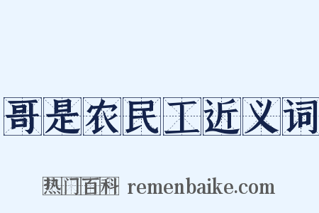 哥是农民工近义词是什么意思的图片